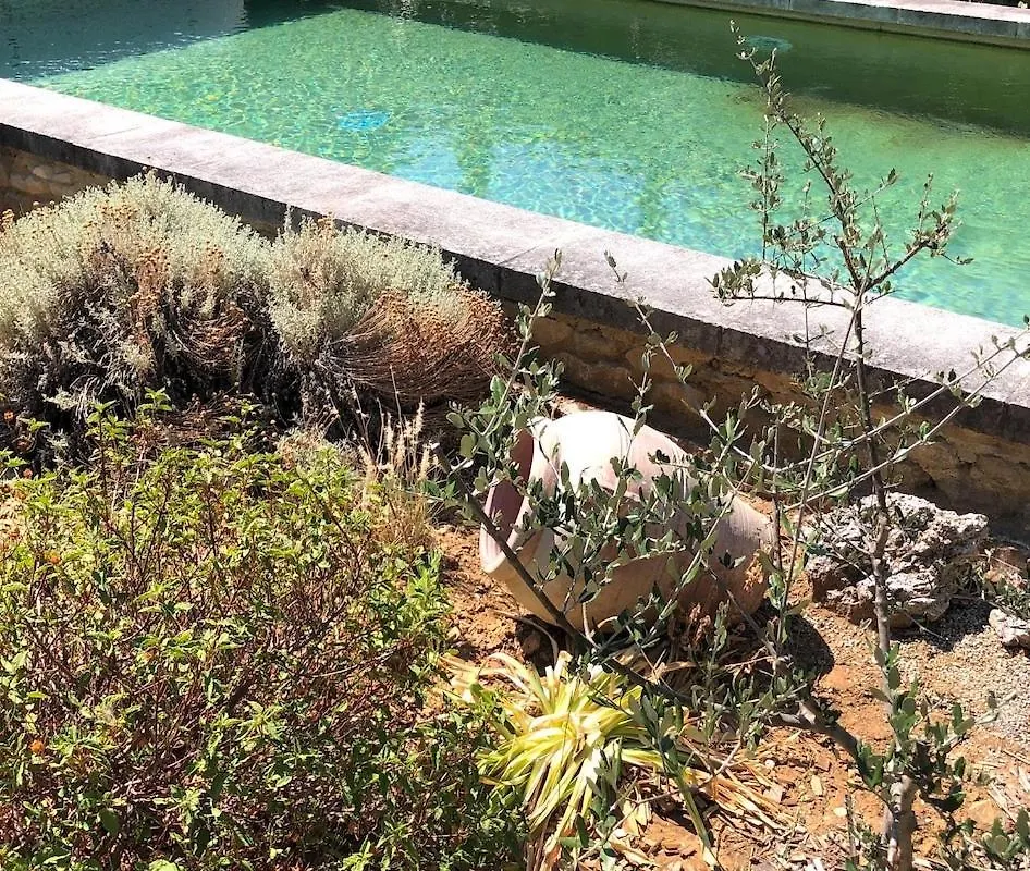Une Chapelle En Soie Taulignan Maison d'hôtes